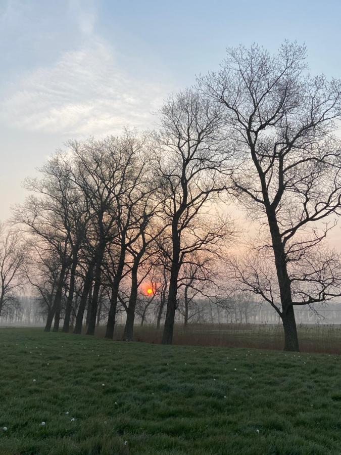 Bbrut * Bruges